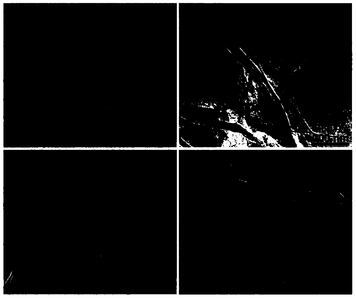 Catalyst with rewritable performance and its preparation method and application