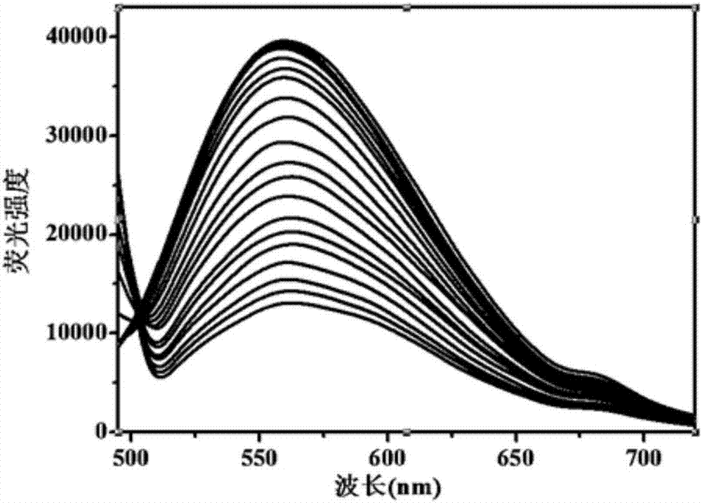 Method for detecting hemoglobin by using water-soluble orange fluorescence carbon quantum dot probe