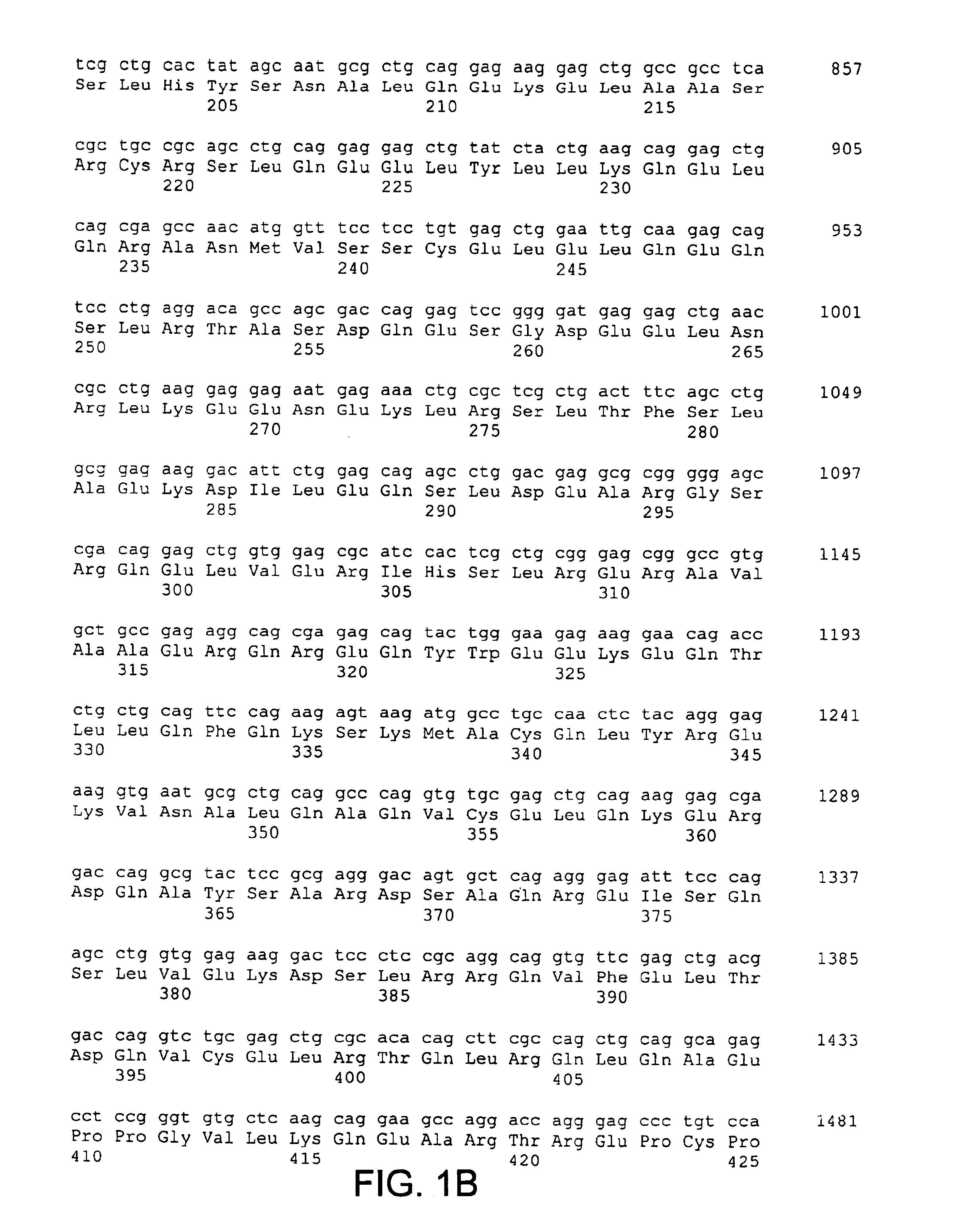 Molecules of the card-related protein family and uses thereof