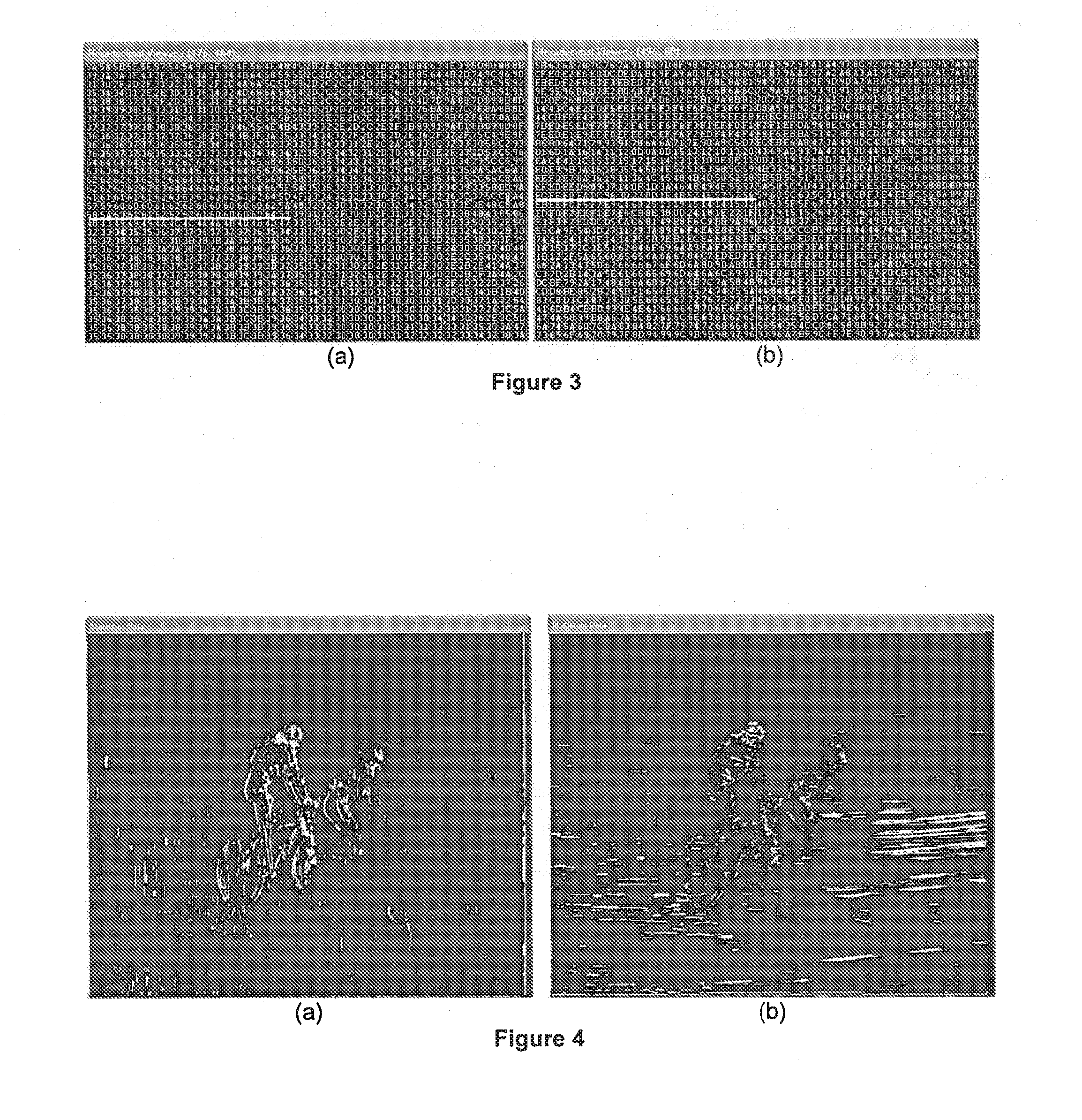 Methods and apparatus for an artifact detection scheme based on image content