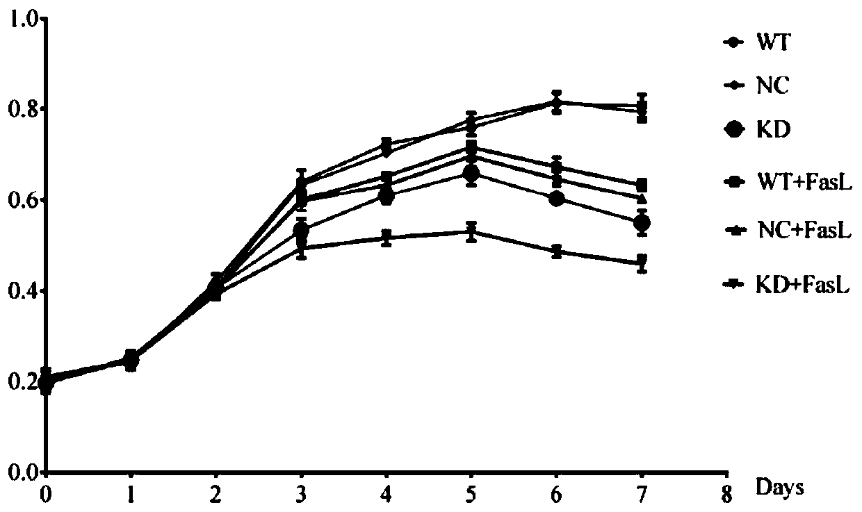 Liver cancer diagnostic marker, kit and application of liver cancer diagnostic marker