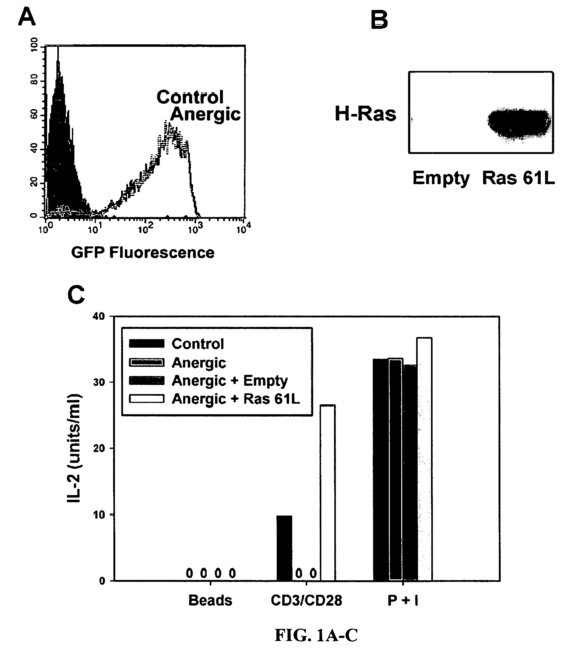 T cell anergy is reversed by active Ras and regulated by diacylglycerol kinase