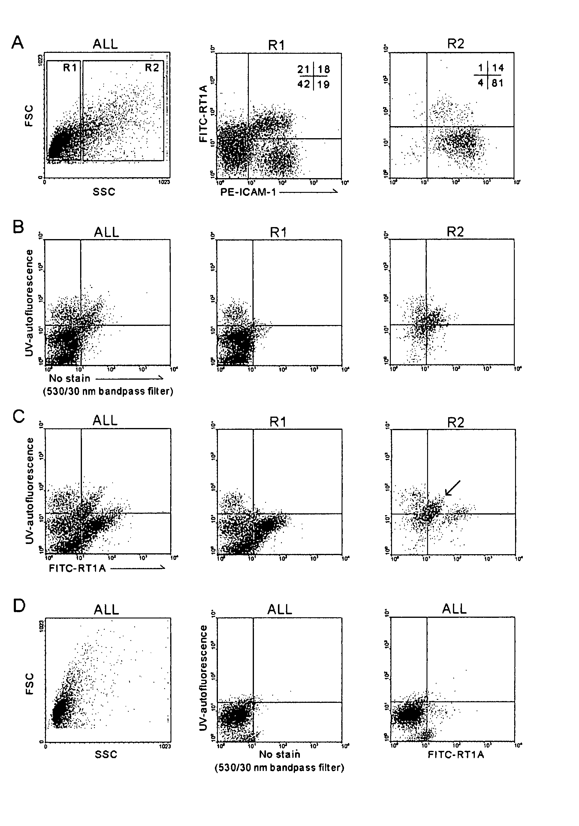 Hepatic stellate cell precursors and methods of isolating same