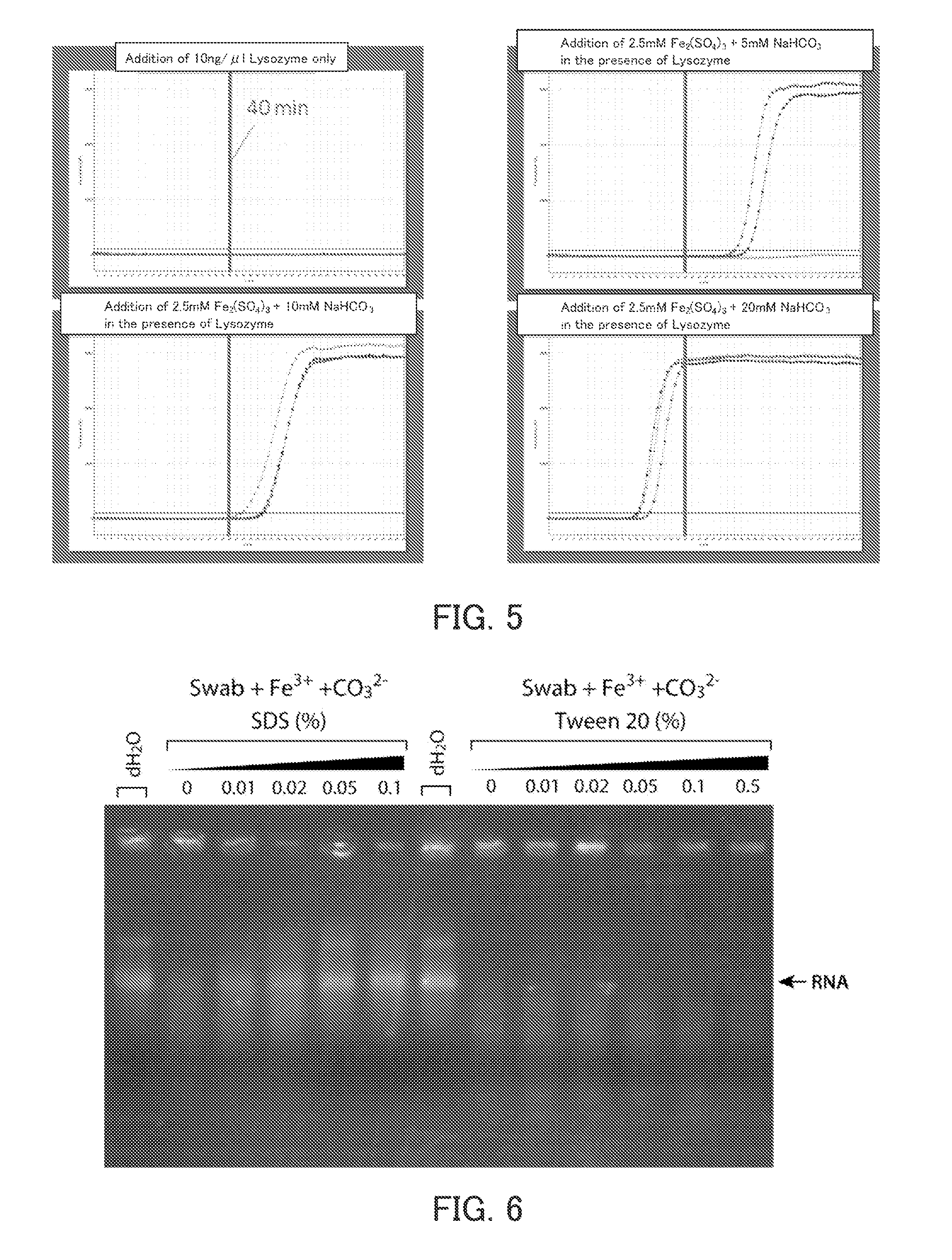 Pretreatment method of biological sample, detection method of rna, and pretreatment kit