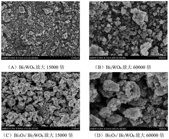 Bismuth trioxide-bismuth tungstate heterojunction photocatalyst and preparation method thereof