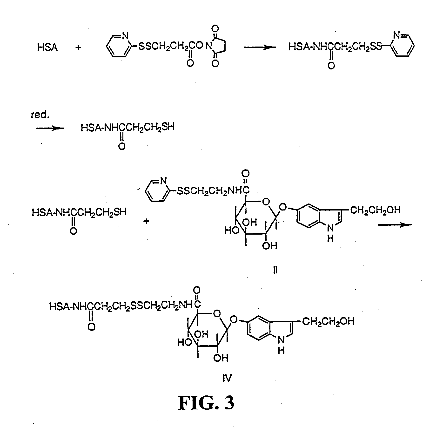 5-hydroxytryptophol (5-HTOL) derivatives, antibodies, immunoassays and detection of recent alcohol consumption