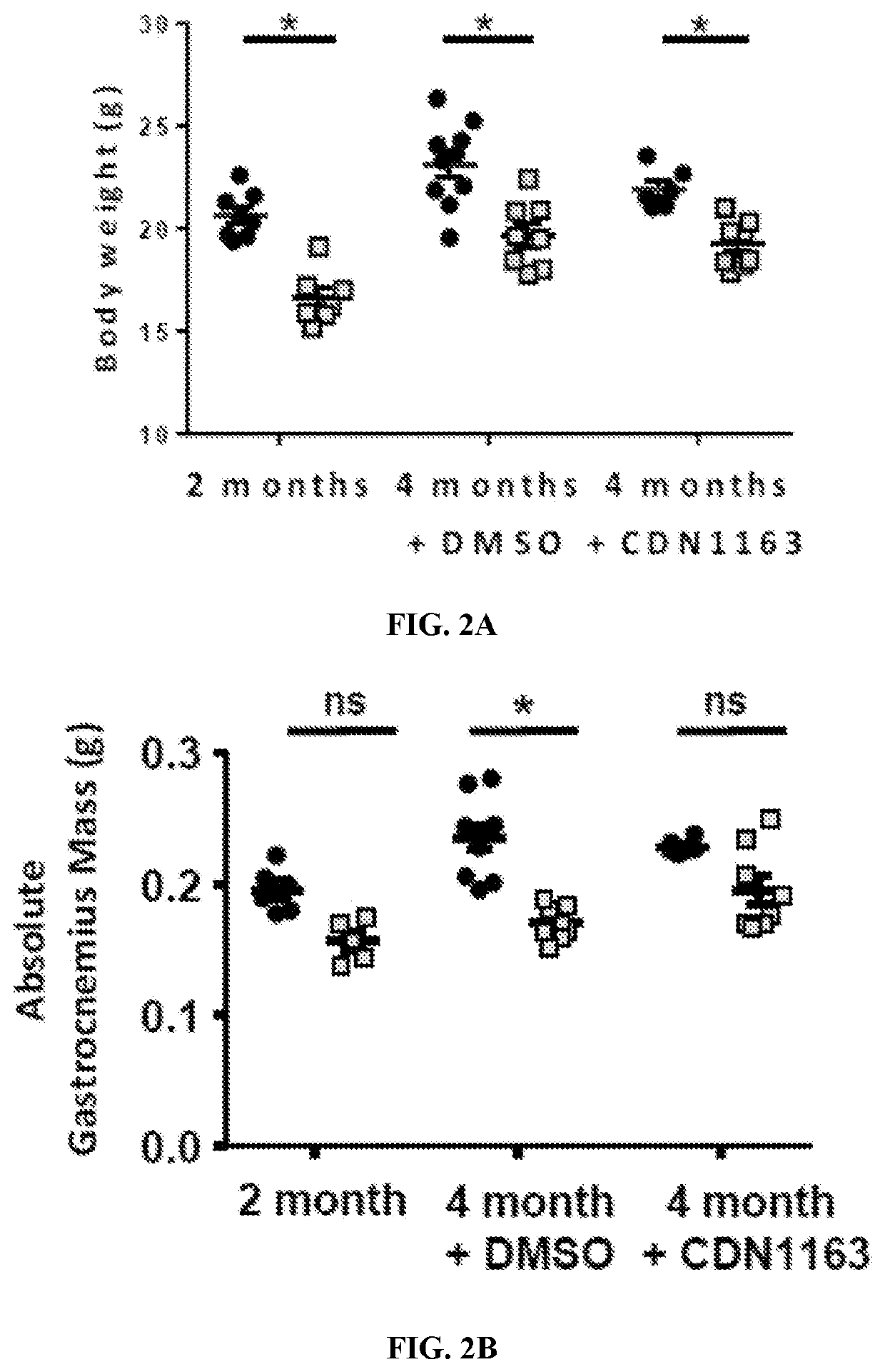 Treatment for age- and oxidative stress-associated muscle atrophy and weakness