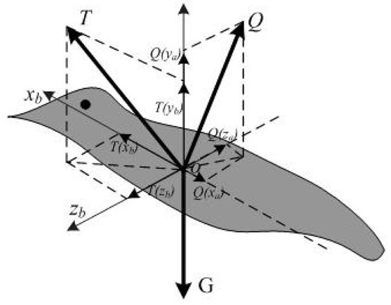 Flapping wing flight attitude control method based on L1 self-adaption