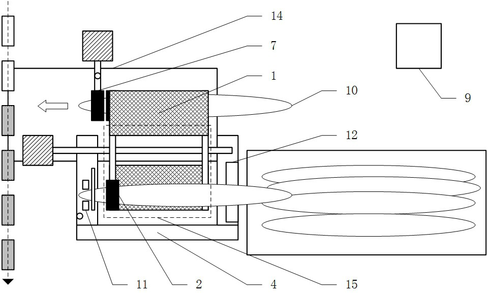 Automatic feeding system for whole kelp processing assembly line