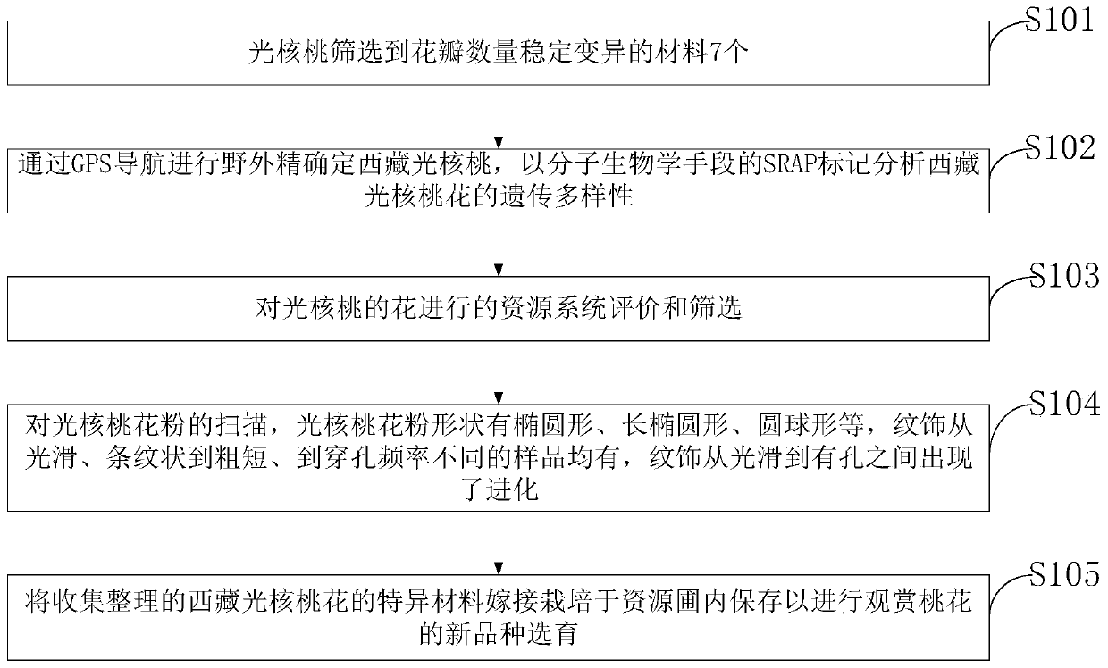 Resource system evaluation and screening method of pholiota nameko flowers