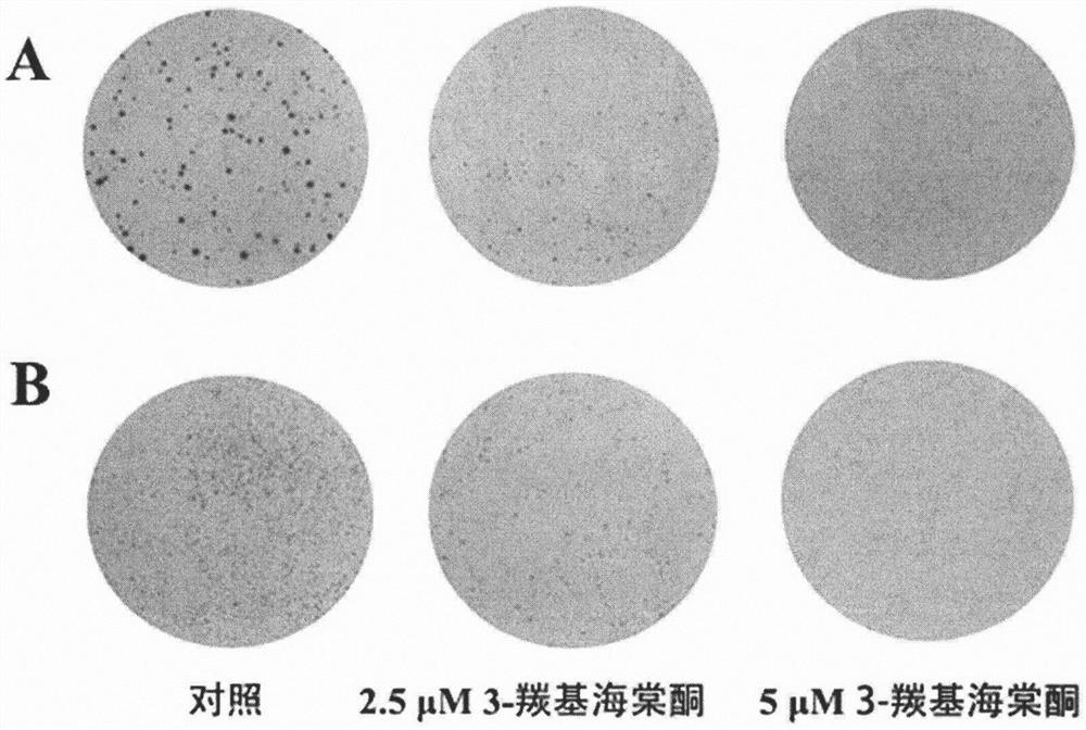 3-carbonyl hyperin, extraction method and application thereof in preparation of antitumor drugs