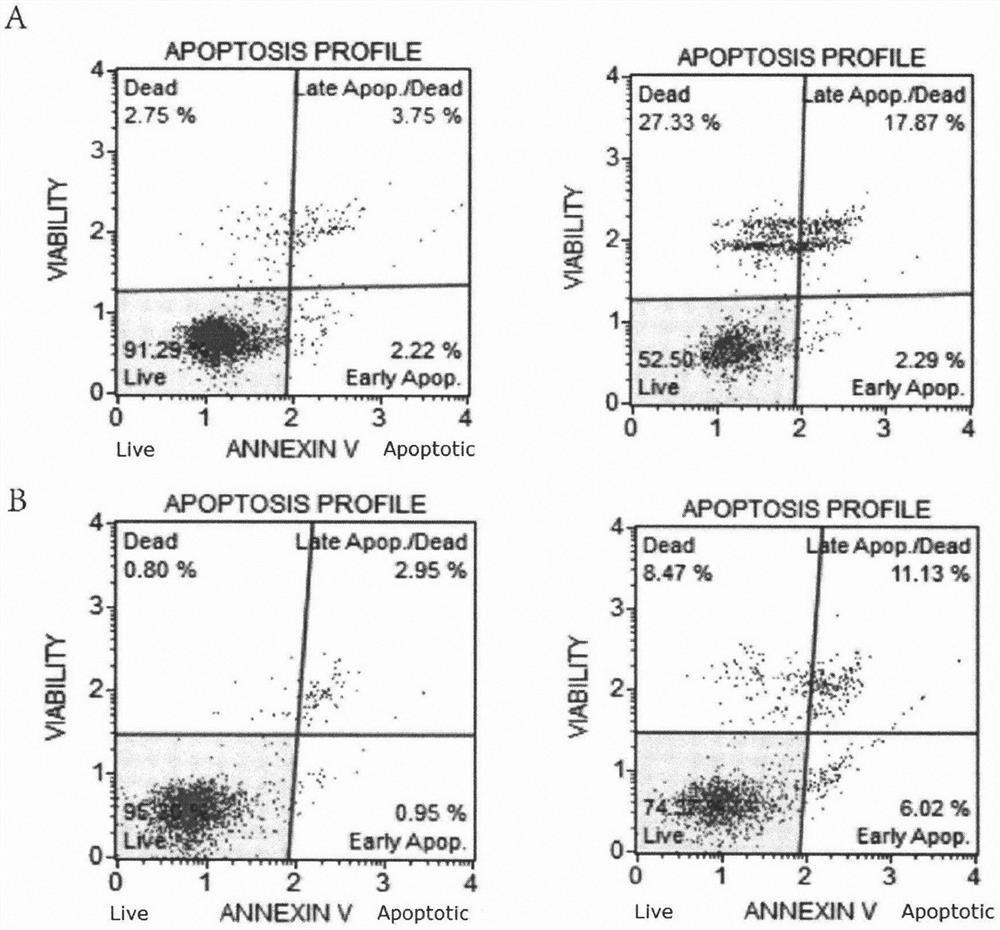 3-carbonyl hyperin, extraction method and application thereof in preparation of antitumor drugs