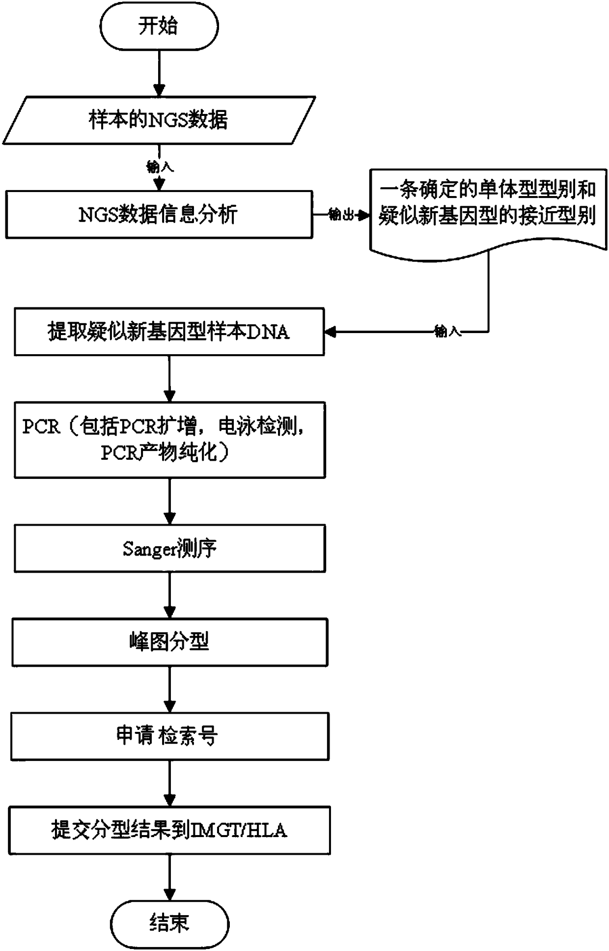 Genotype sequences for HLA typing