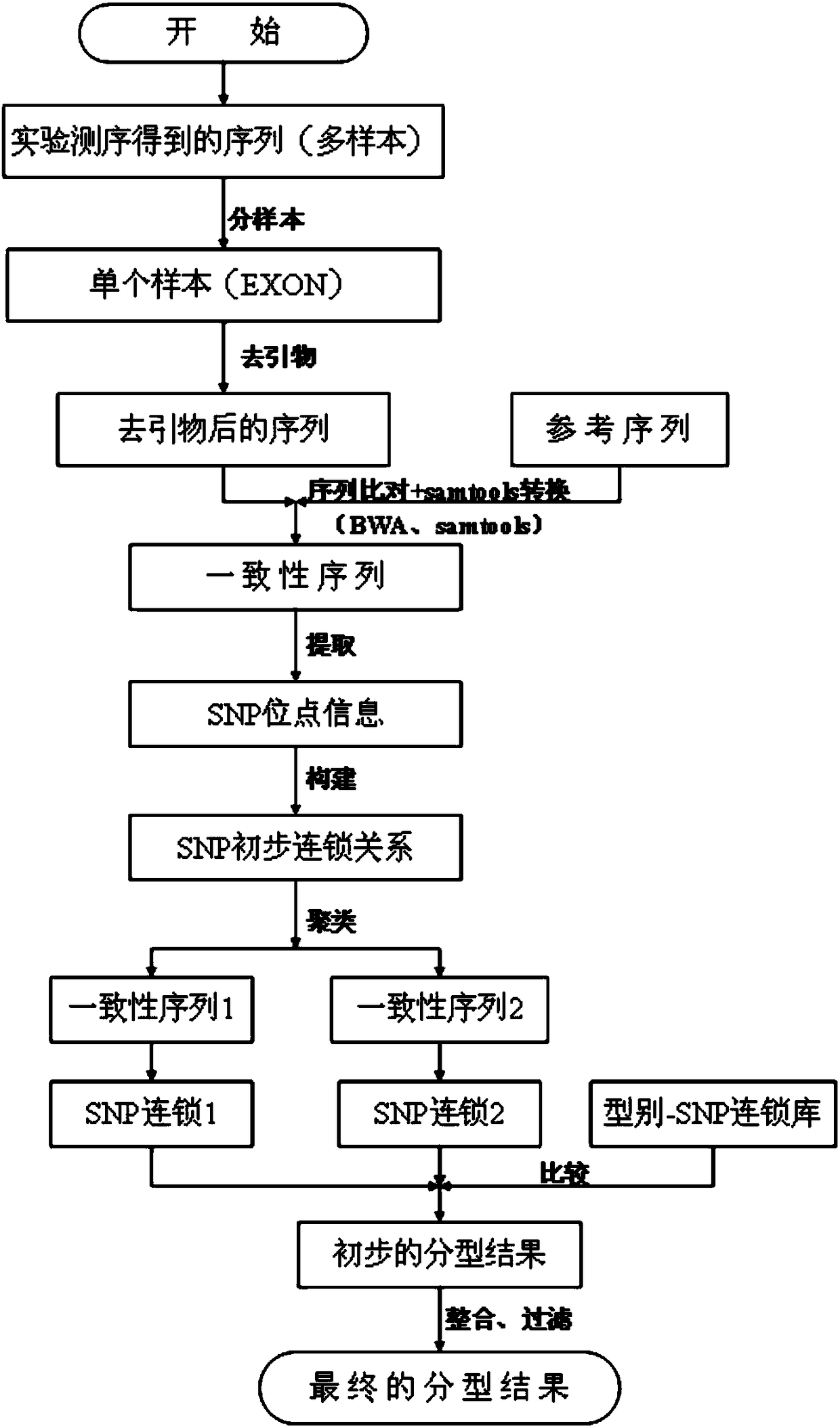 Genotype sequences for HLA typing