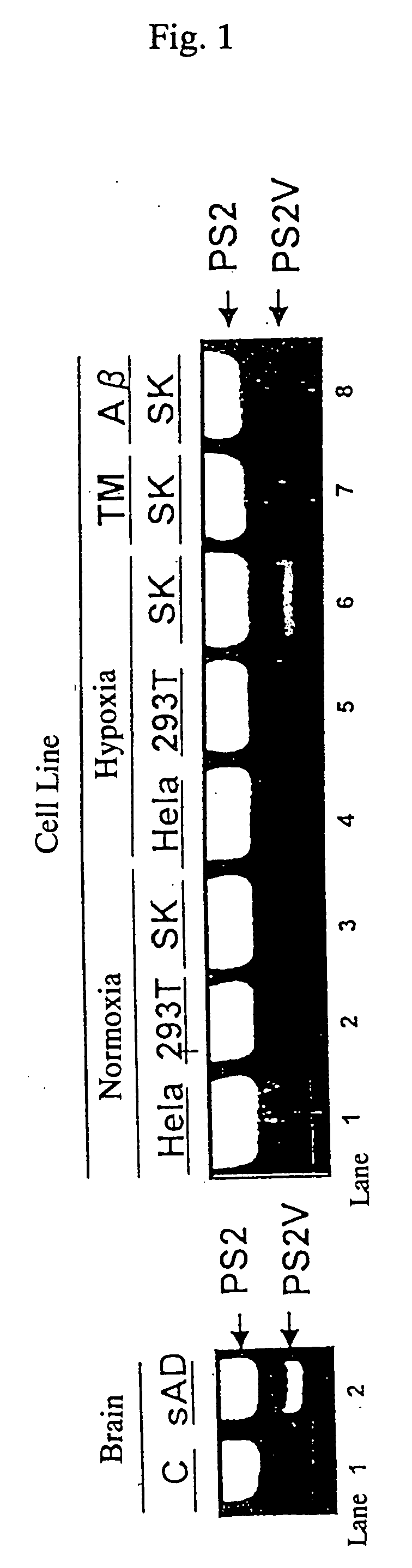 Medicinal compositions