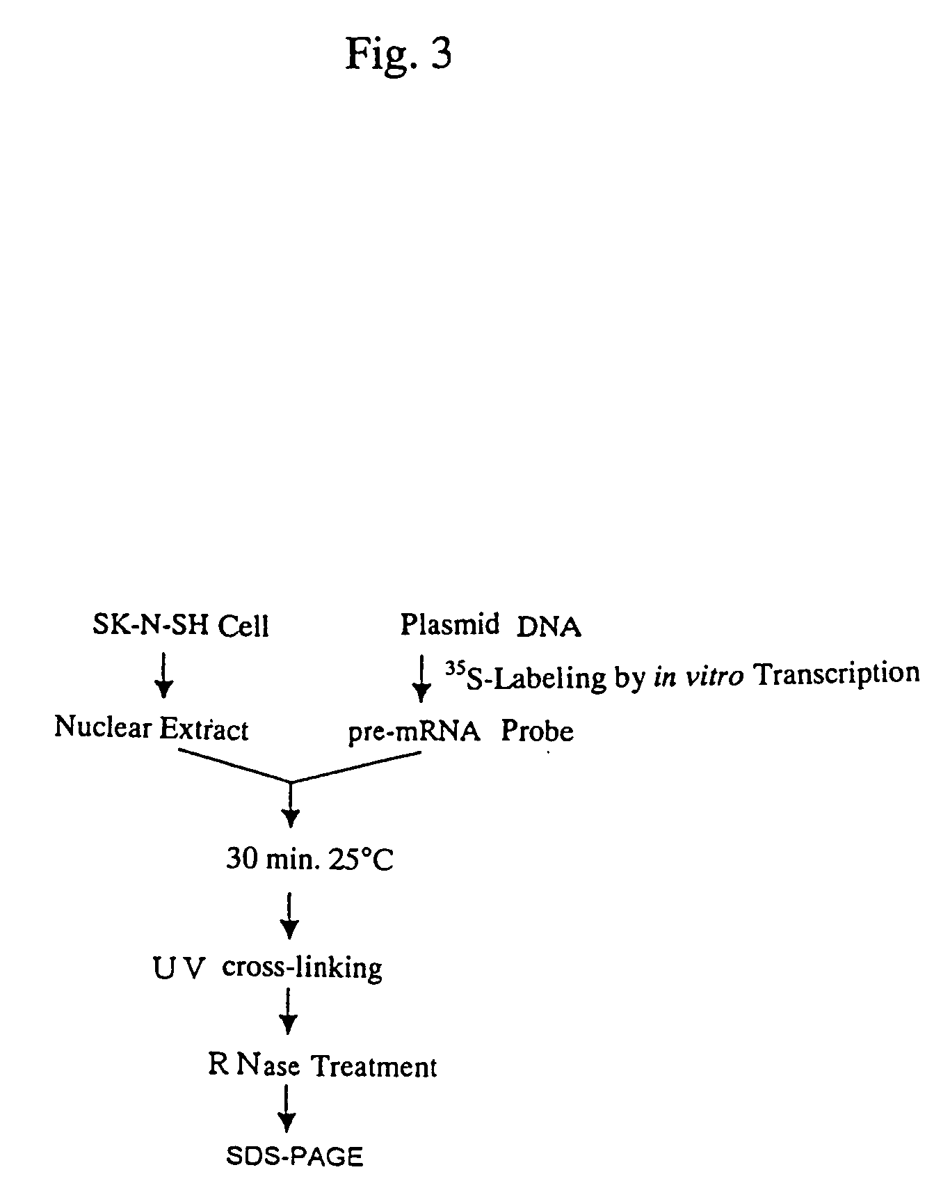 Medicinal compositions