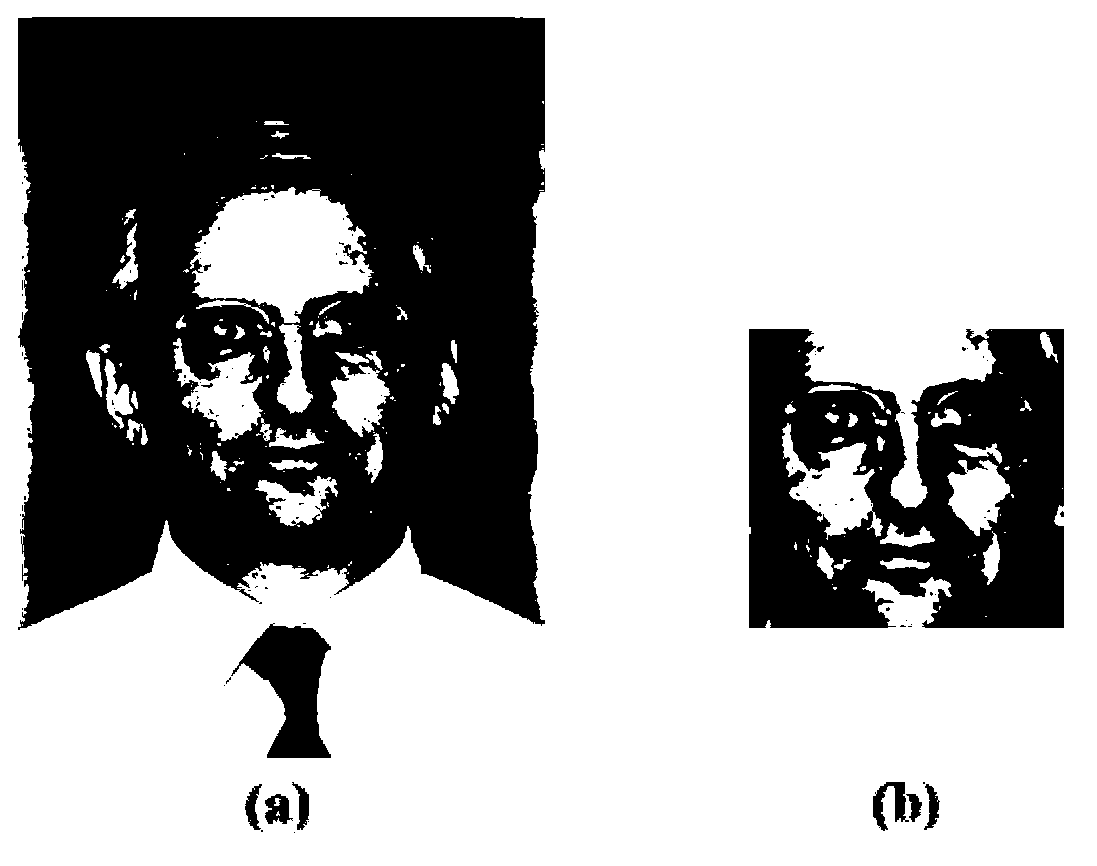 Human face recognizing method based on multi-level local obvious mode characteristic counting