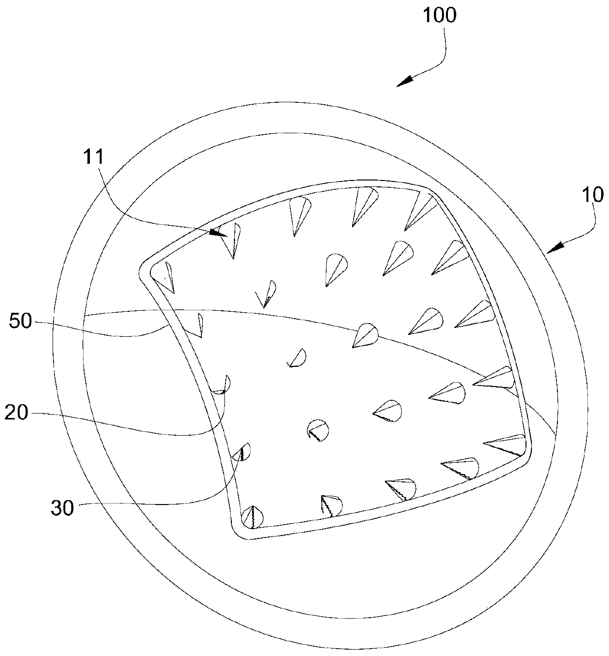 Brain imaging detection device