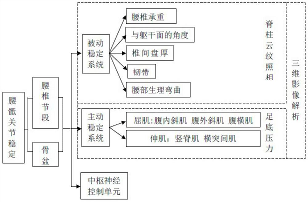 Female weightlifting athlete lumbosacral joint biomechanical analysis method based on numerical simulation