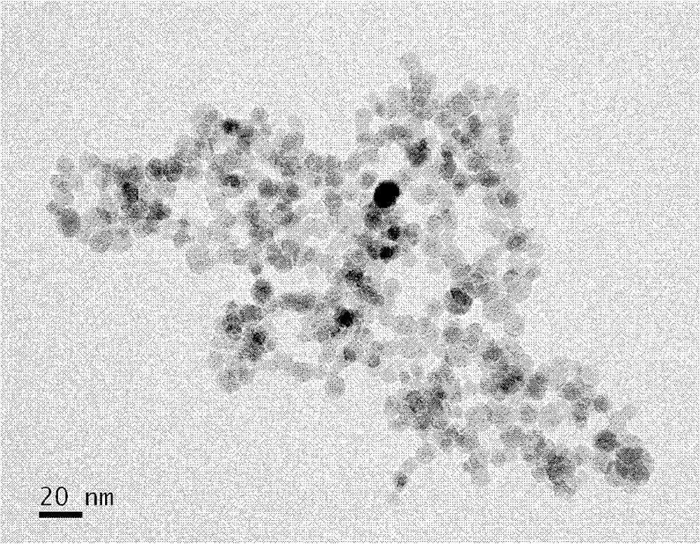 Brain tumor magnetic resonance contrast agent and its preparation method