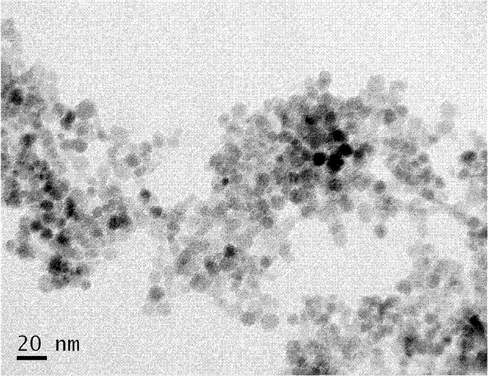 Brain tumor magnetic resonance contrast agent and its preparation method