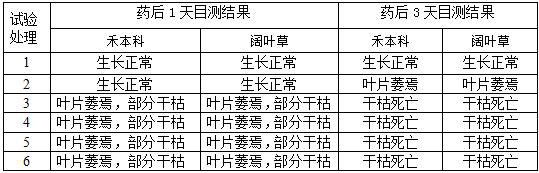 Synergistic composition of herbicide glufosinate-ammonium