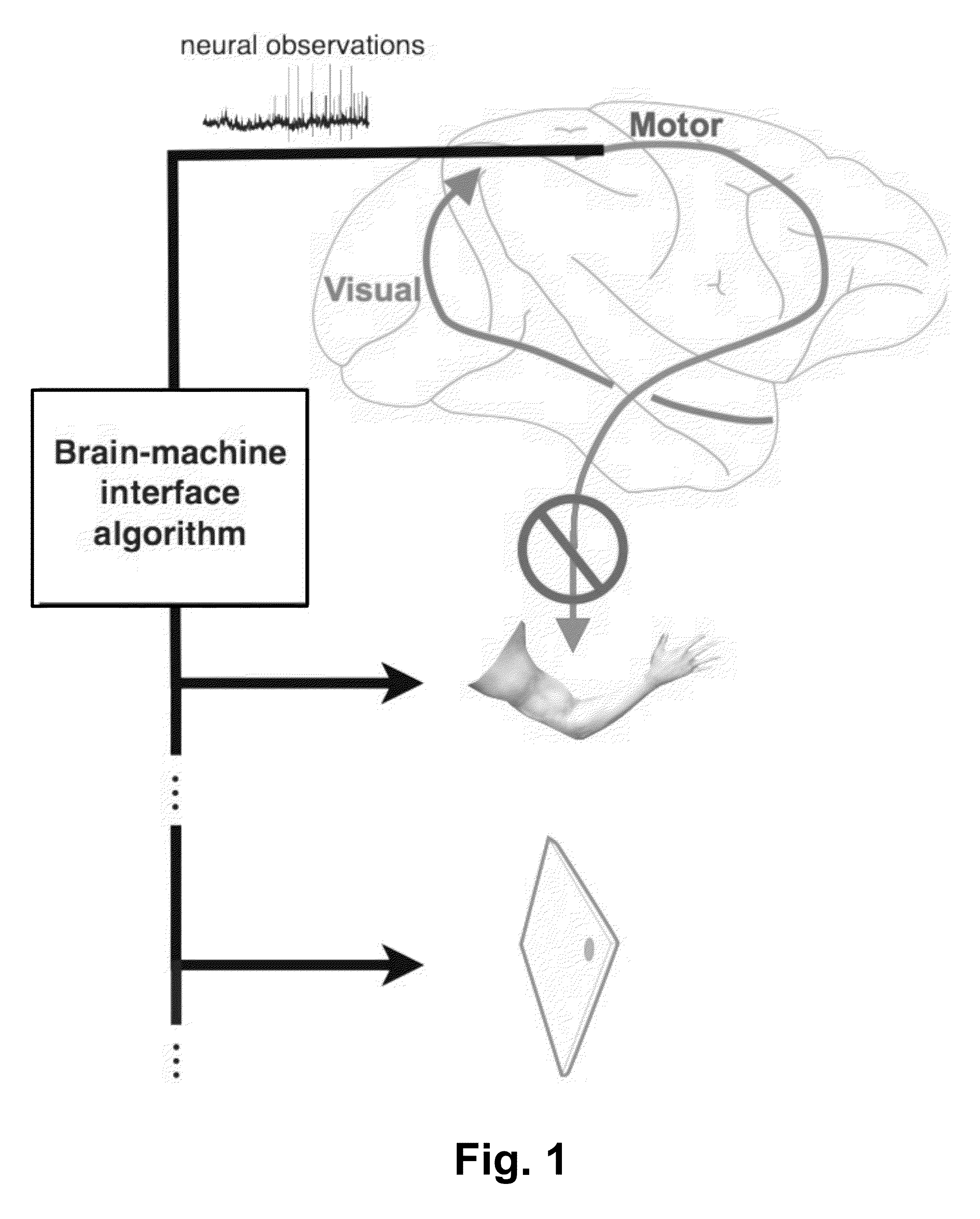 Brain Machine Interfaces incorporating Neural Population Dynamics