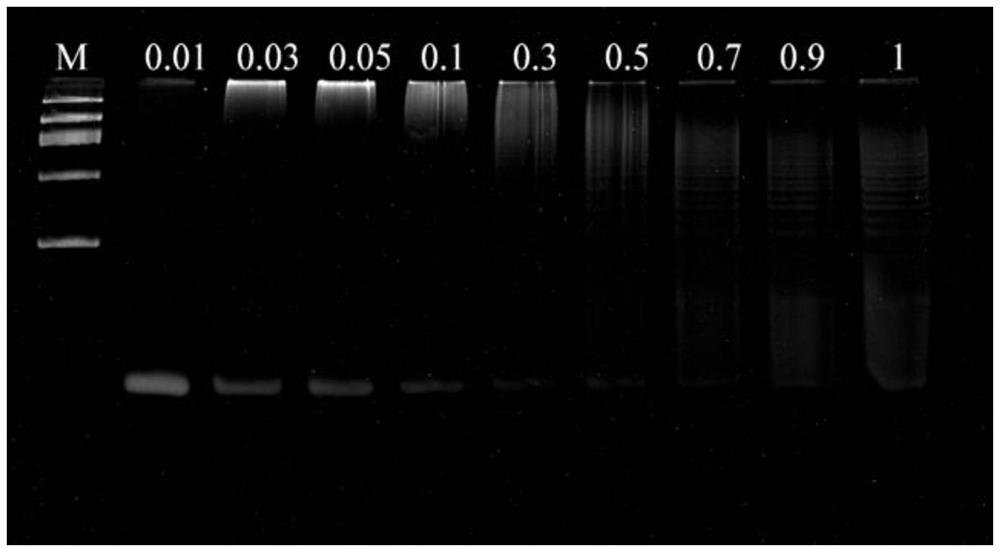 Electrochemical biosensing composition, working solution, electrochemical biosensor and application thereof