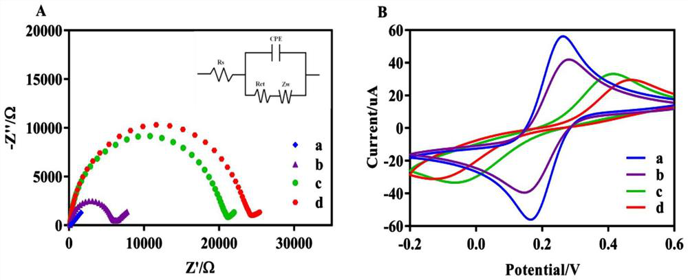 Electrochemical biosensing composition, working solution, electrochemical biosensor and application thereof