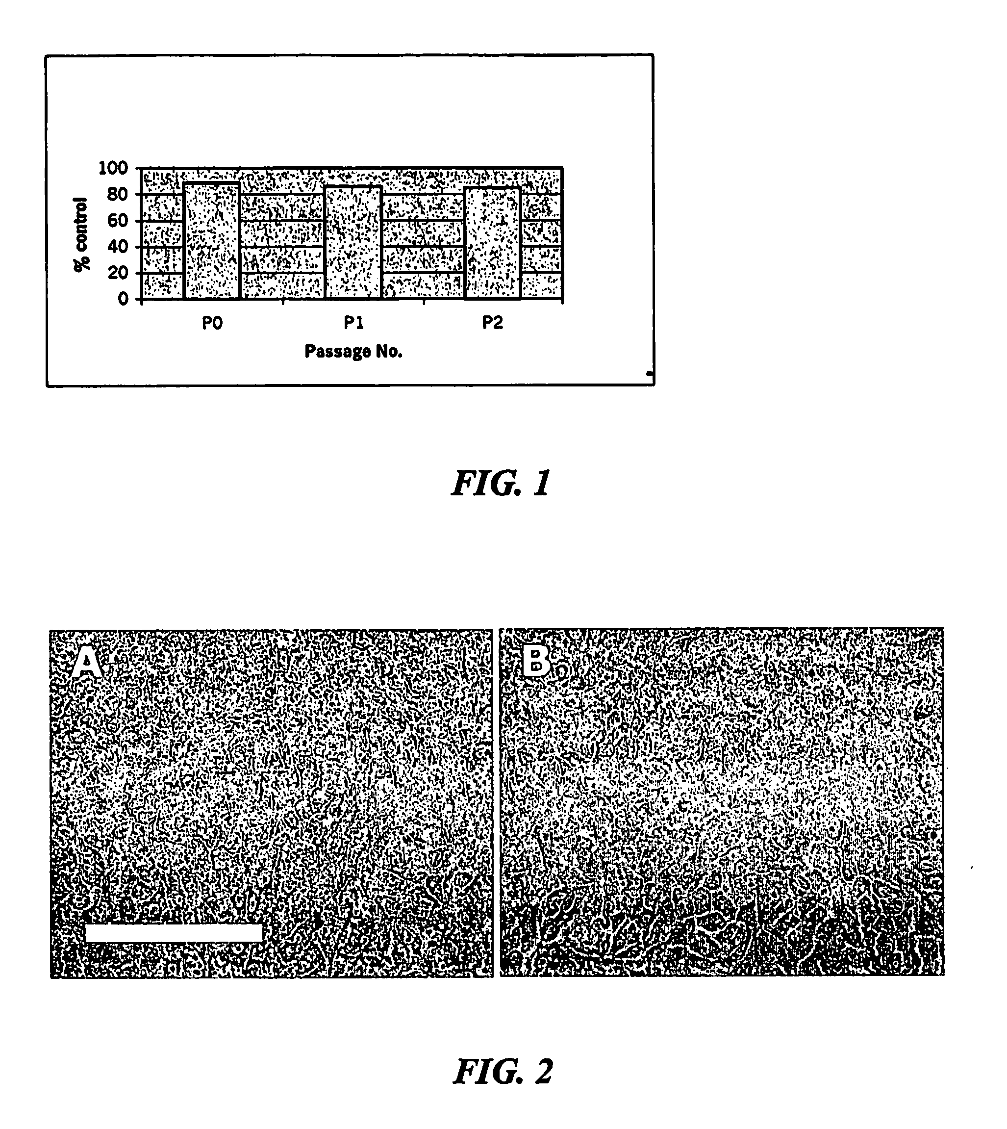 Skin regeneration system