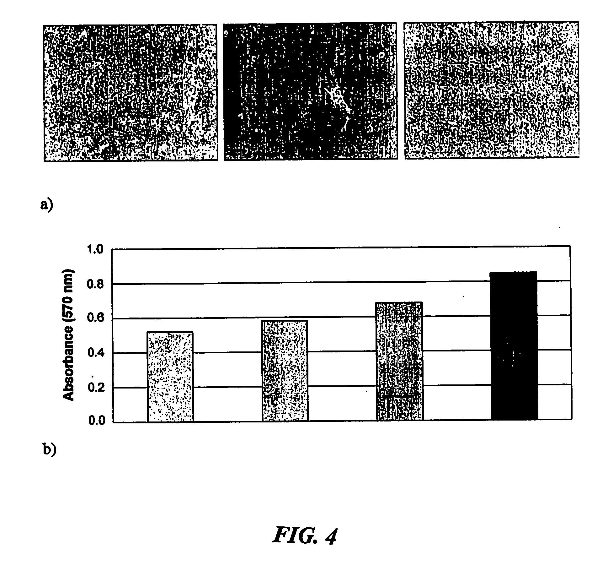 Skin regeneration system