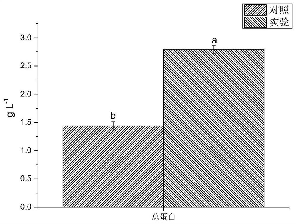 A strain of Trichoderma aculeatus and its application in remediation of lead-contaminated soil