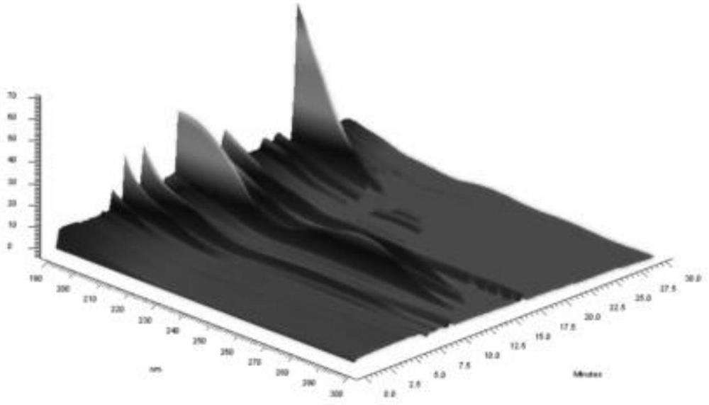 Method for identifying fruiting phenotype of Ooospore oudemansiella radicata based on efficient capillary electrophoresis