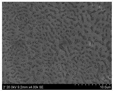 Electrolytic plating assisting method for hot dip galvanizing of steel wire and electrolytic plating assistant