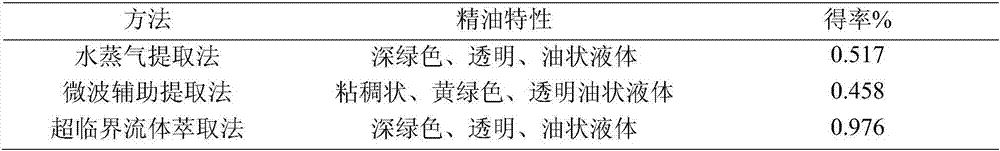 Extraction method of essential oil of artemisia argyi and application thereof in inhibiting pathogenic bacteria of plants