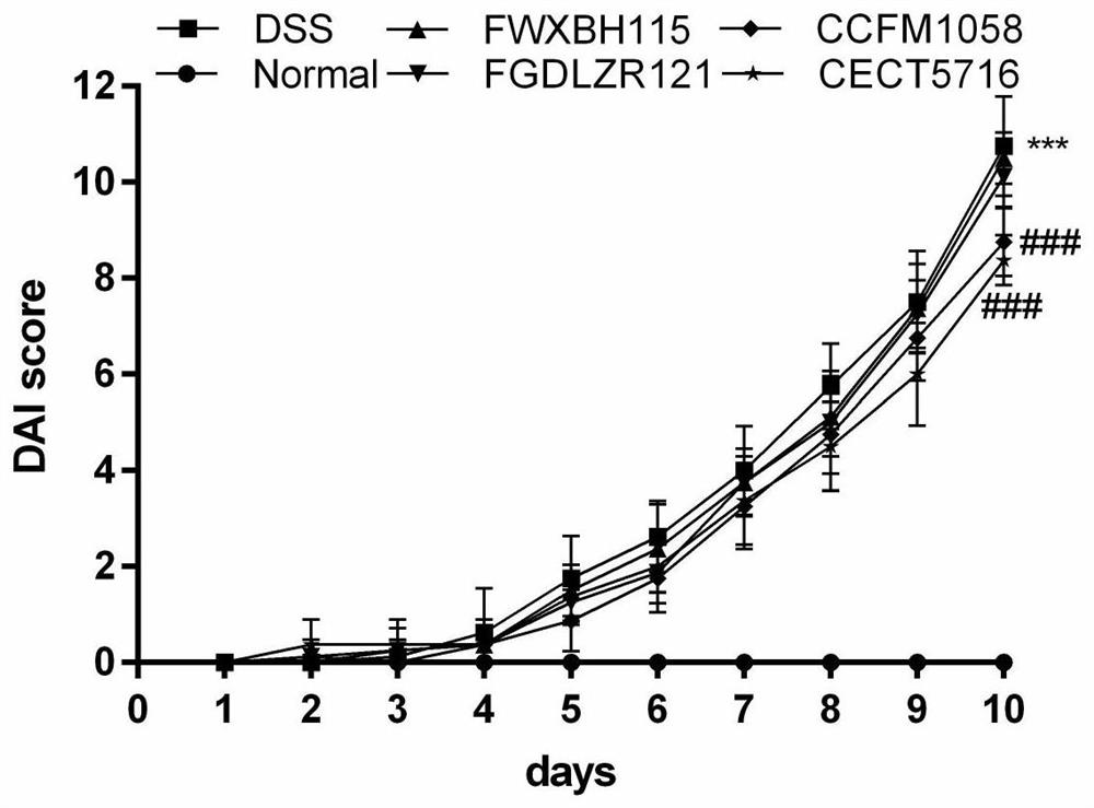 A strain of Lactobacillus fermentum capable of regulating intestinal tight junction proteins and its application