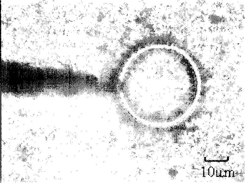 Microdissection device based on piezoelectric ultrasonic vibration