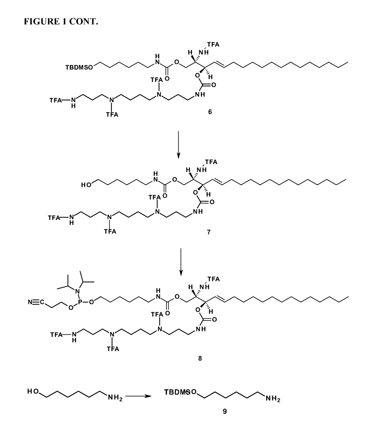 Sphingolipid-polyalkylamine-oligonucleotide compounds