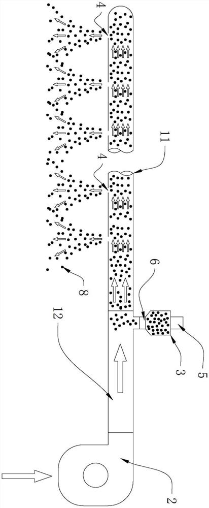 Beauveria bassiana application method for plane farmland crops