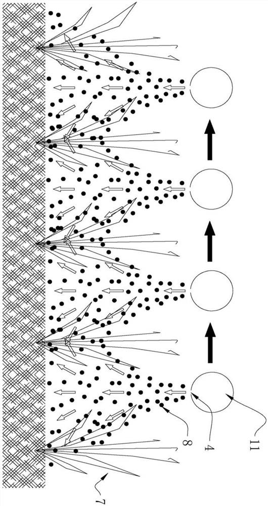 Beauveria bassiana application method for plane farmland crops