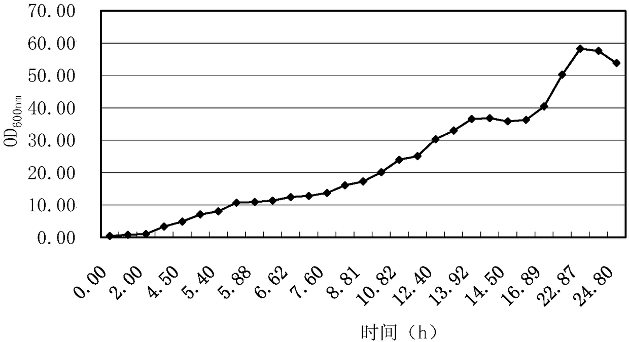 Amino lyase mutant protein and coding gene and application thereof