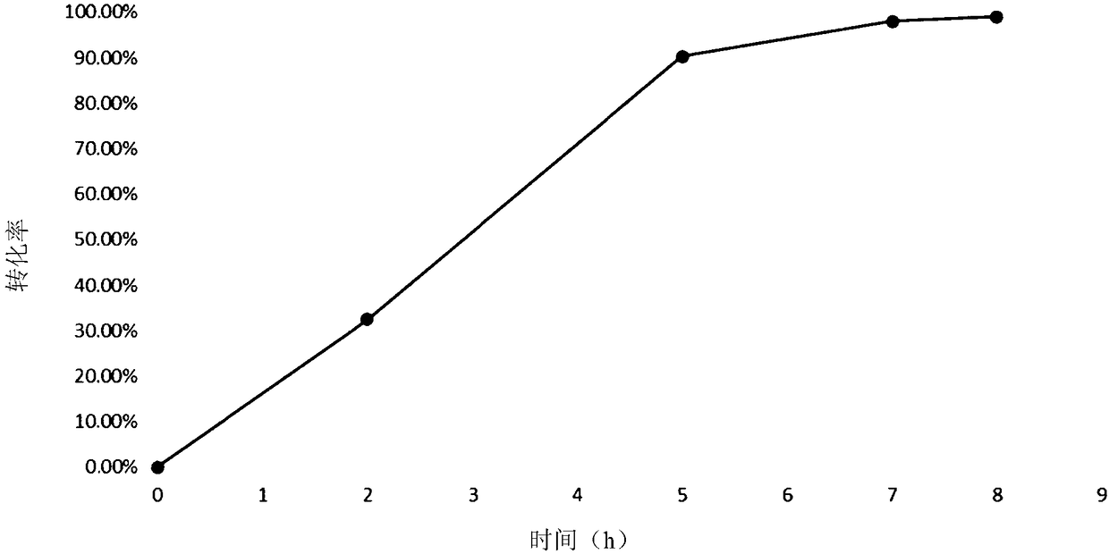 Amino lyase mutant protein and coding gene and application thereof