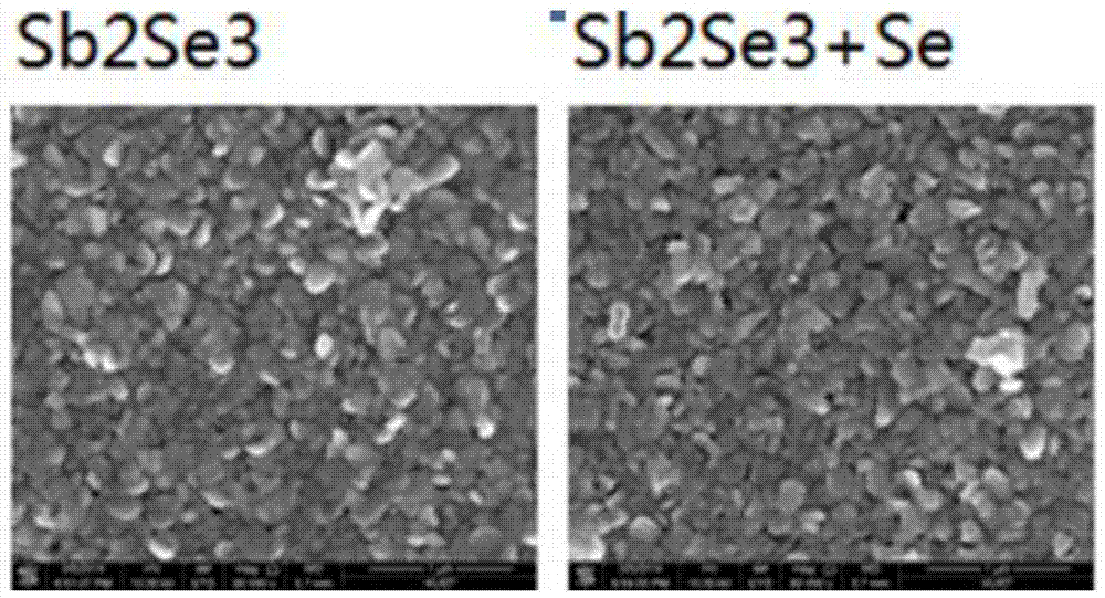 High photoresponse near-infrared photodetector