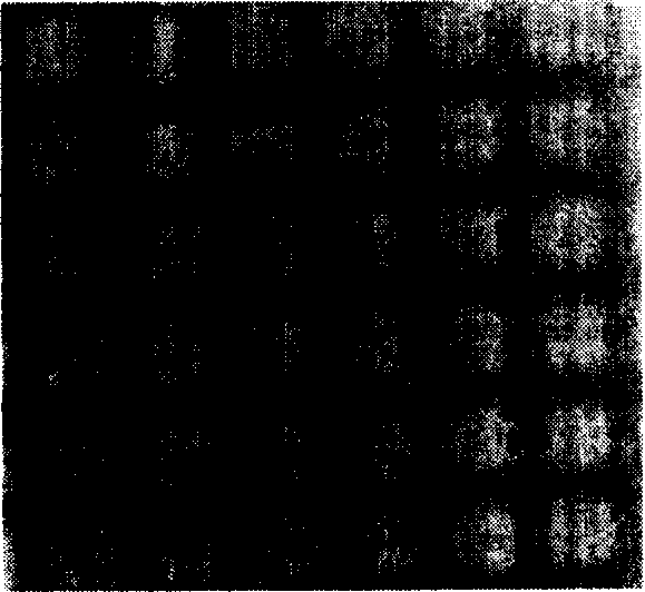 Method for manufacturing flawless millipore/mesoporous film by adopting mould plate technique and film thereof