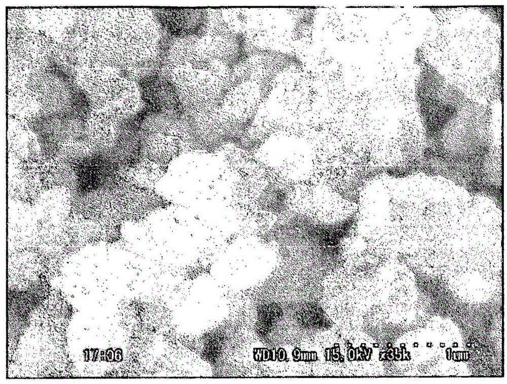 Magnetic hydrotalcite composite and process for manufacturing same