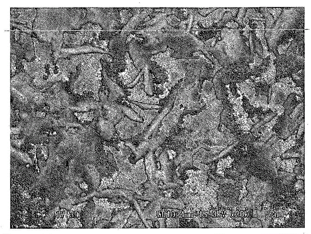 Magnetic hydrotalcite composite and process for manufacturing same