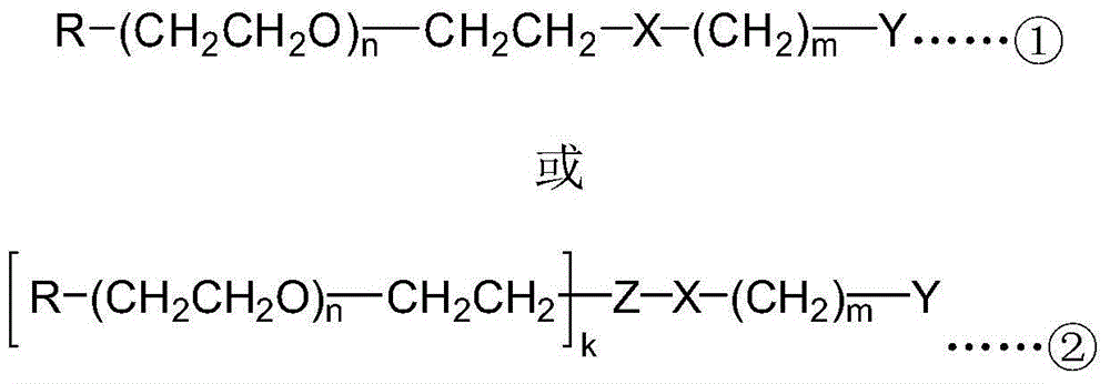 Protein polypeptide drug N-terminal fixed-point polyethylene glycol modification method