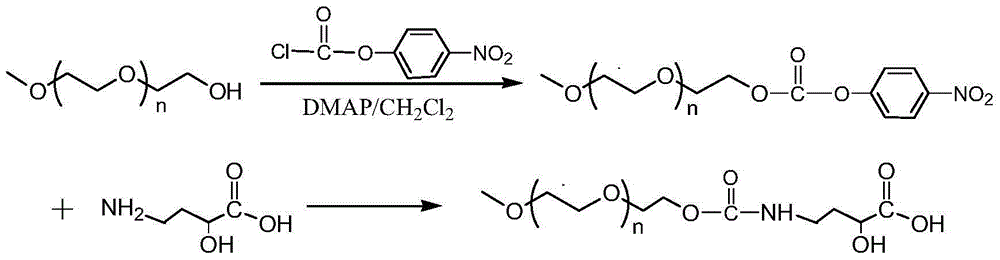 Protein polypeptide drug N-terminal fixed-point polyethylene glycol modification method