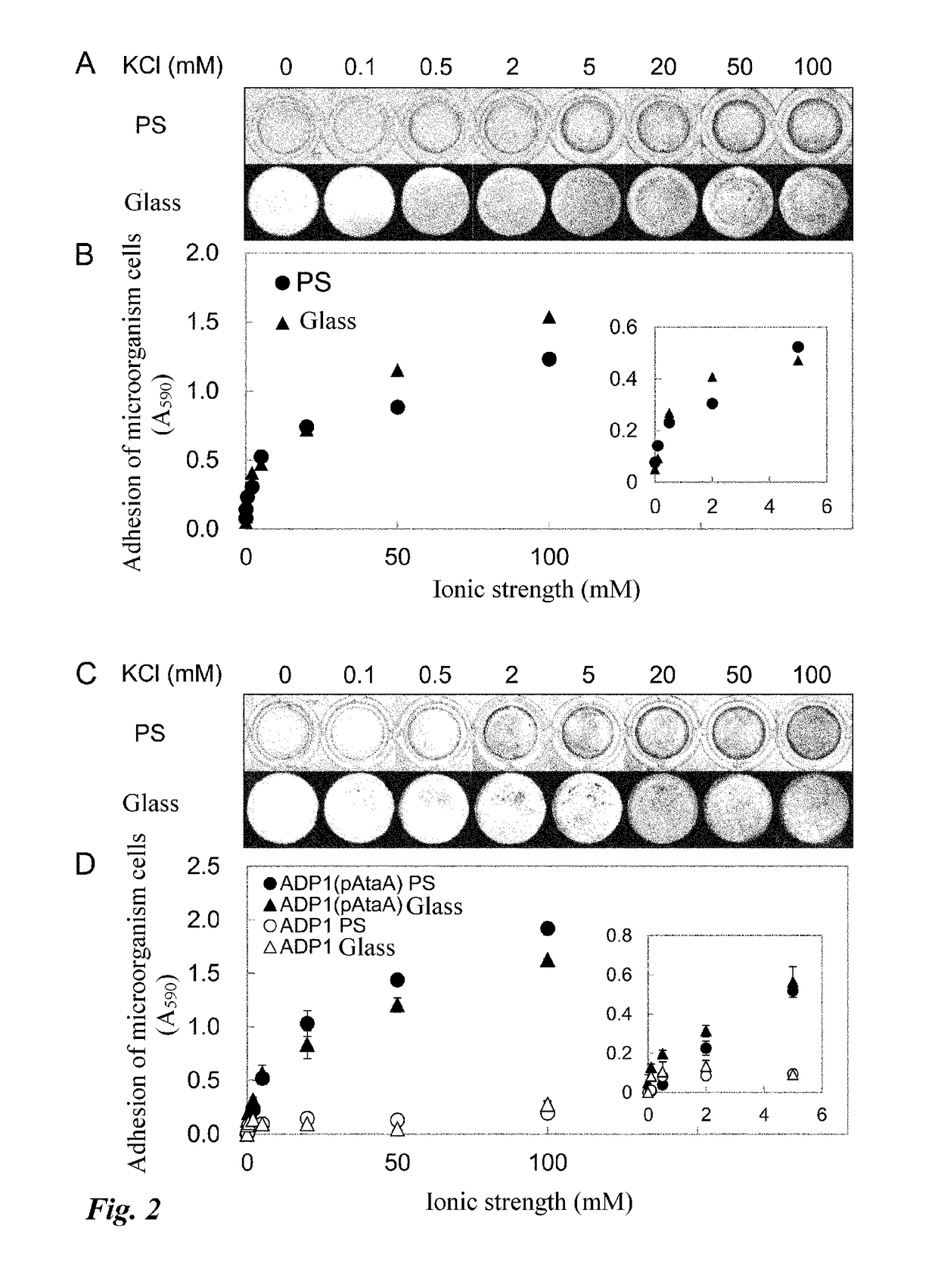 Method for immobilizing and releasing microorganism