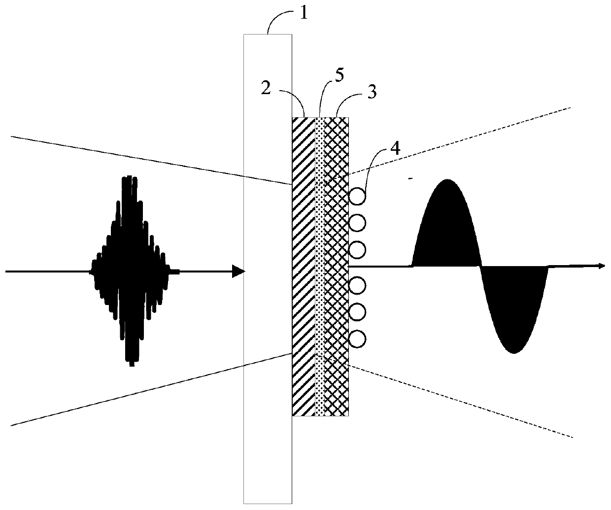 Spin biosensor and terahertz time domain spectroscopy system